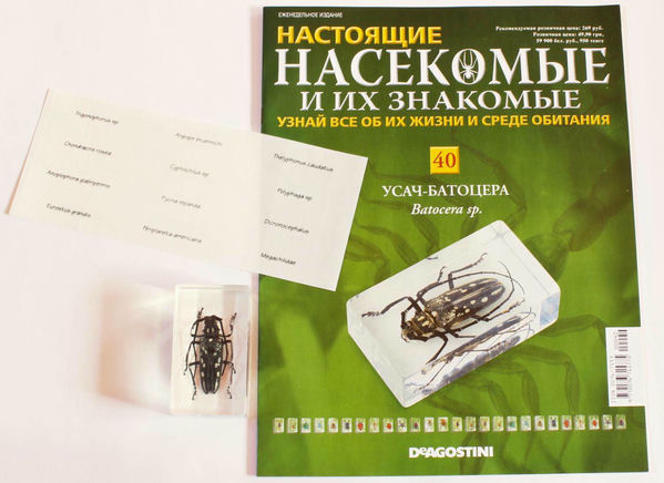40 Выпуск Насекомые И Их Знакомые и насекомые 40 их знакомые выпуск