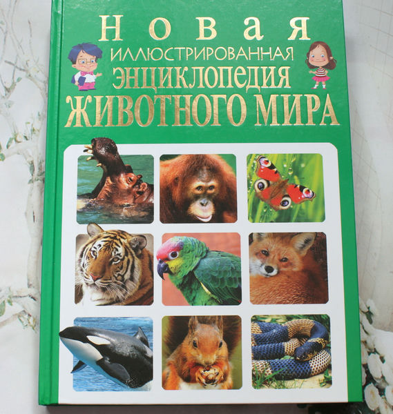 Мир чудесных фото и книг