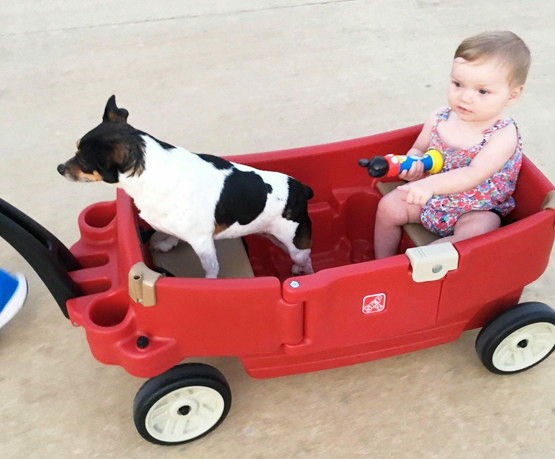 samye luchshie i interesnye katalki dlya