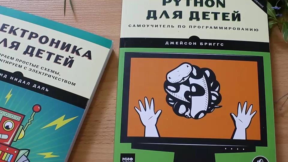 Проекты питон для новичков