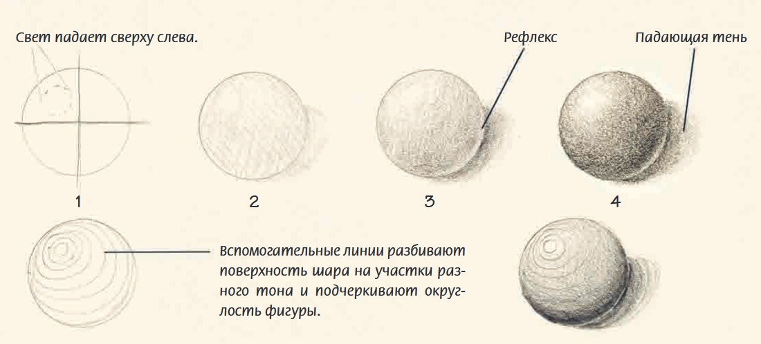 Правильная форма шара. Построение гипсового шара поэтапно. Рисование шара. Поэтапное рисование шара. Рисование шара карандашом.