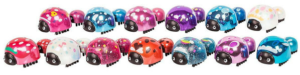 ladybug live pets