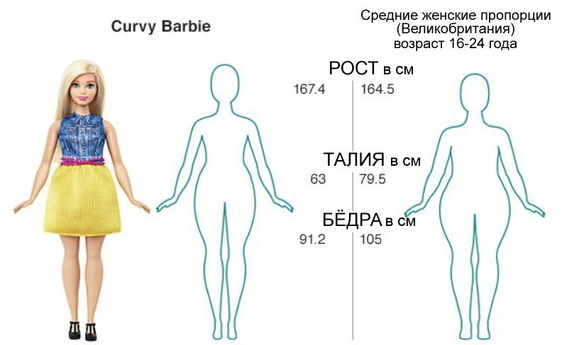 Как пышные и другие Барби соотносятся с реальными средними женскими пропорциями?