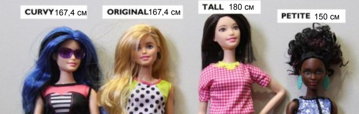 Как пышные и другие Барби соотносятся с реальными средними женскими пропорциями?