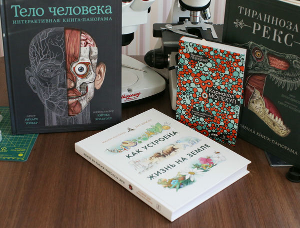 Книга: Жизнь Человека